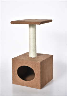 Cat Scratcher with a Booth
