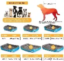 Rectangular Pet Bed – SQUARE Blue with Paws