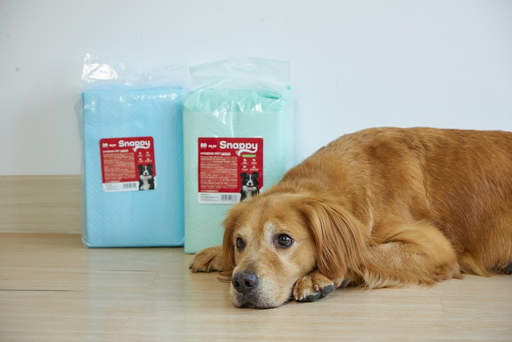 SNAPPY hygienic pet pads 45x60cm blue 26g, 50pcs/bag
