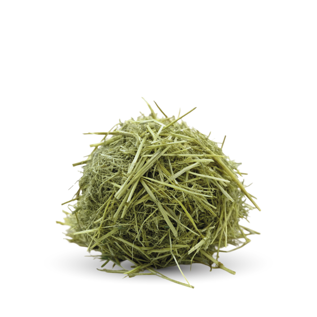 SNAPPY hygienic pet pads 45x60cm blue 26g, 50pcs/bag