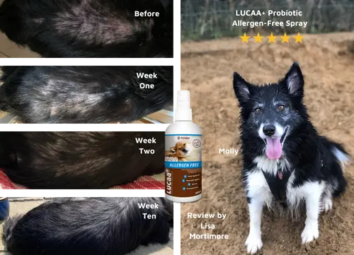02 LUCAA+ Probiotic Allergen-Free Spray.webp