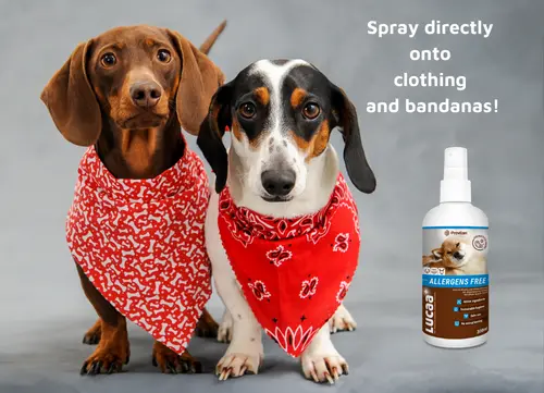 08 LUCAA+ Probiotic Allergen-Free Spray.webp