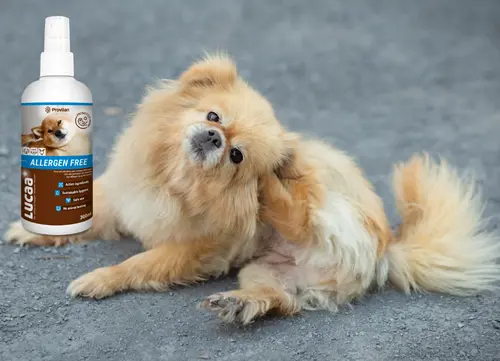 06 LUCAA+ Probiotic Allergen-Free Spray.webp