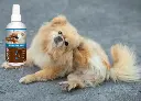 06 LUCAA+ Probiotic Allergen-Free Spray.webp