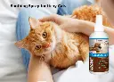04 LUCAA+ Probiotic Allergen-Free Spray.webp