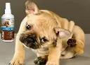 01 LUCAA+ Probiotic Allergen-Free Spray.webp