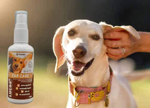 01 LUCAA+ Pet Probiotic Ear Care - 100ml Spray.webp