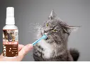 LUCAA-Probiotic-Dental-Care-for-Cats.webp