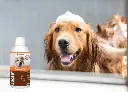 LUCAA+ Pet Probiotic Shampoo.webp