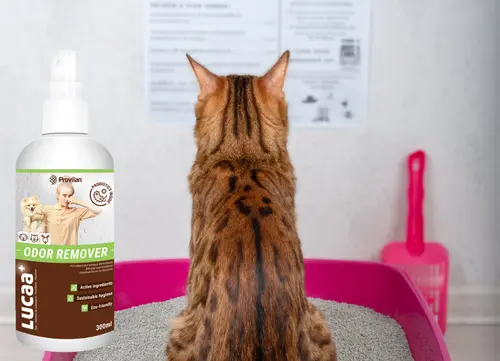 LUCAA+ Pet Probiotic Odour Remover - 300ml Spray 02.webp