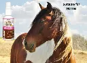 03 LUCAA+ Pet Probiotic Dermo (Wound) Care - 100ml Spray Malta horses.webp