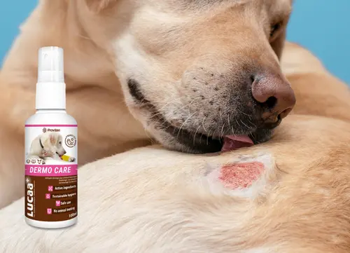 01 LUCAA+ Pet Probiotic Dermo (Wound) Care - 100ml Spray Malta.webp