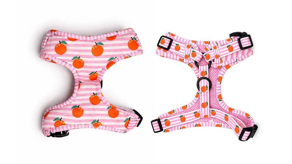 Wolt-Dog-Harness-–-Pink-Citrus-Comfort-Adjustable.webp