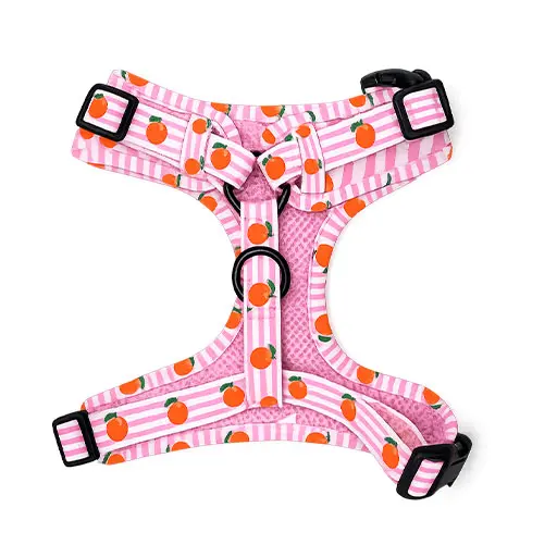 Back-Dog-Harness-–-Pink-Citrus-Comfort-Adjustable.webp