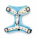 back-Dog-Harness-–-Bumble-Bee-Comfort-Adjustable-(Blue-Edition).webp