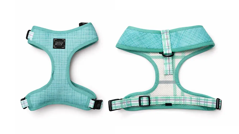 Wolt-Dog-Harness-–-Teal-Plaid-Comfort-Adjustable.webp