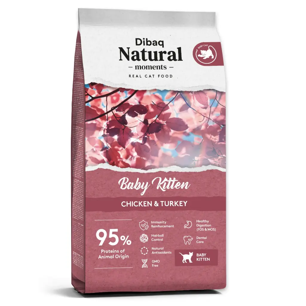 Dibaq Natural Moments Cat Baby Kitten