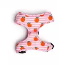 Dog Harness – Pink Citrus Comfort Adjustable