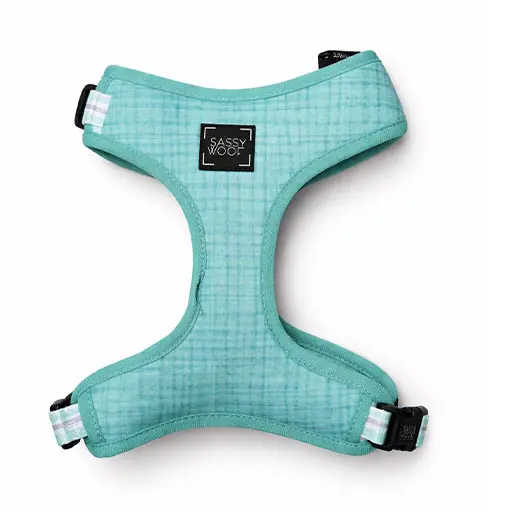 Dog Harness – Teal Plaid Comfort Adjustable || Medium