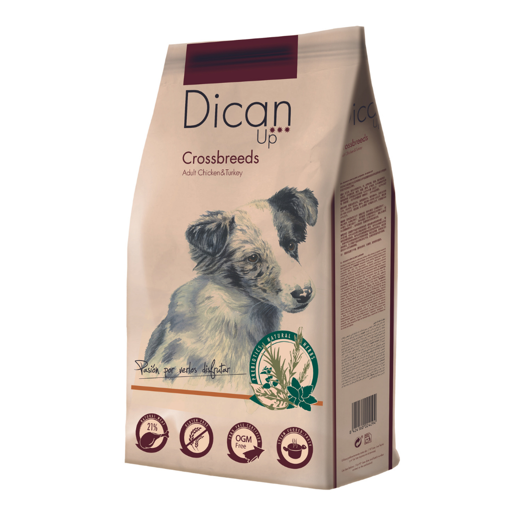 Dican Up Crossbreeds Adult Chicken & Turkey