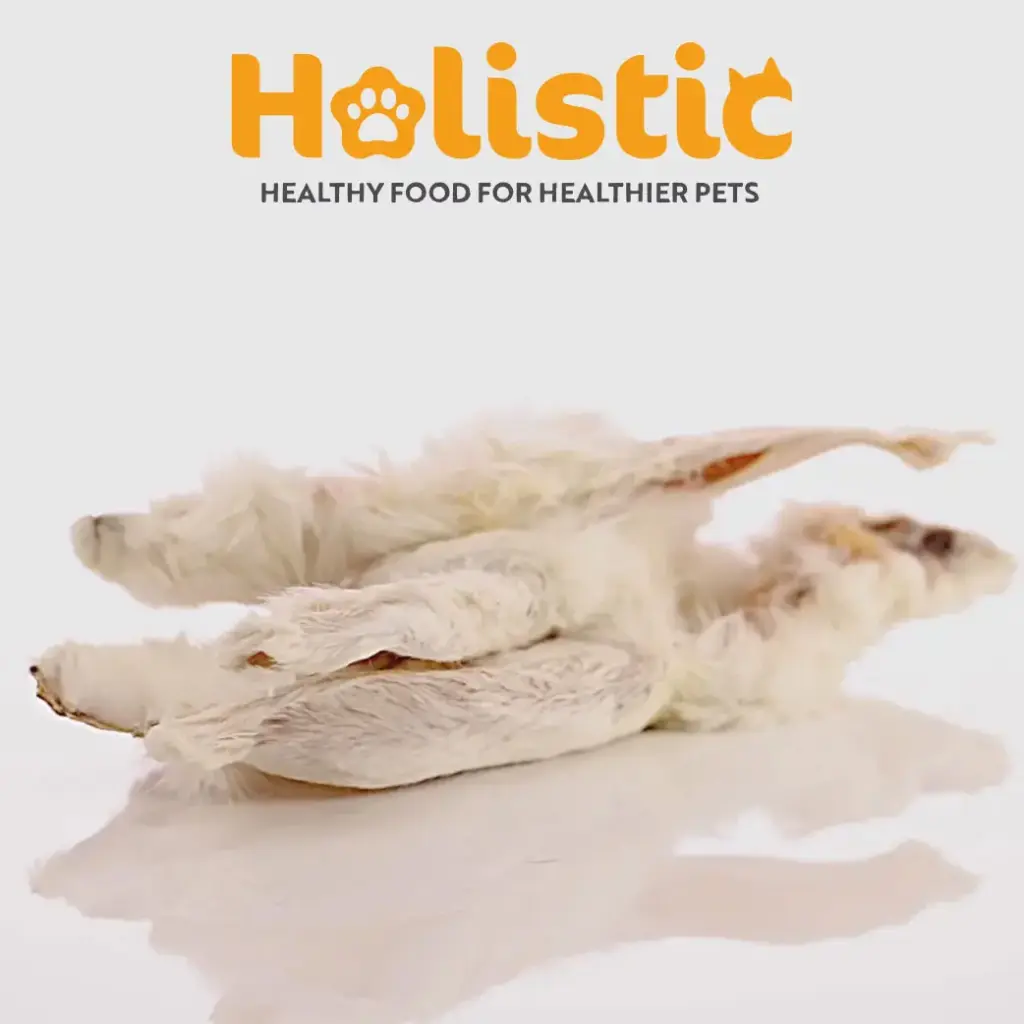 Healthy Treats - Rabbit Ears with Fur Dehydrated 70gr