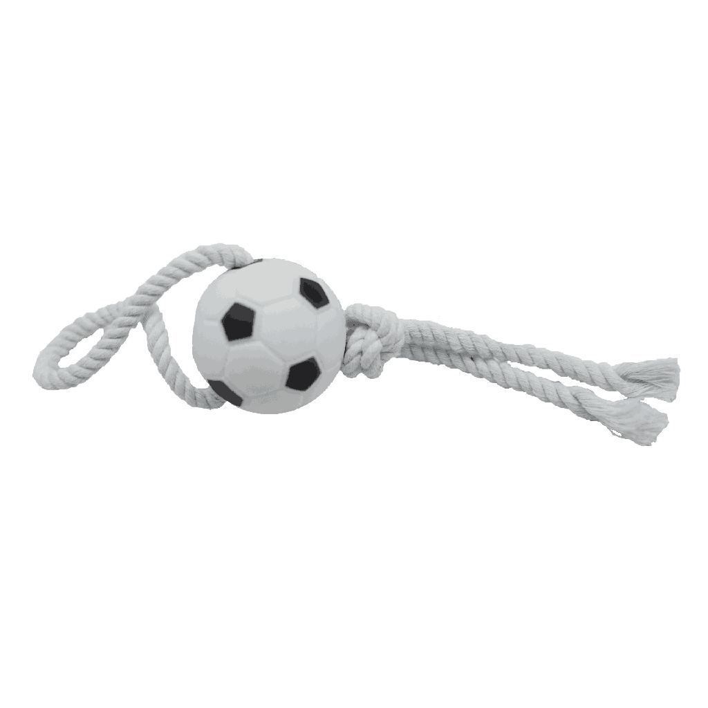 BB dog toy soccer ball on a string with a squeaker 35cm