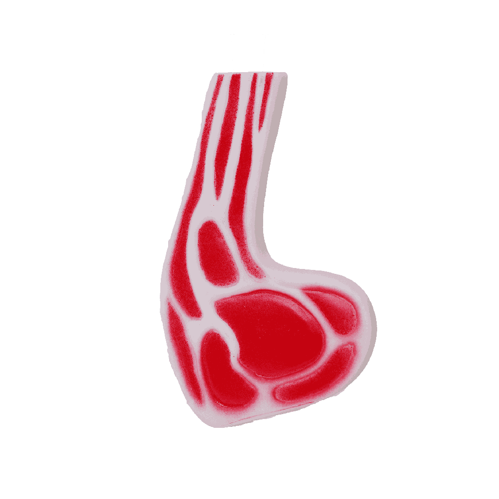 BB dog toy steak with a squeaker 11 cm, 14cm, 21 cm