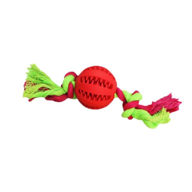 BB Dog Toy – Dental Ball on a String (Mint Scent, 22cm, Red/Yellow/Orange/Green Mint)