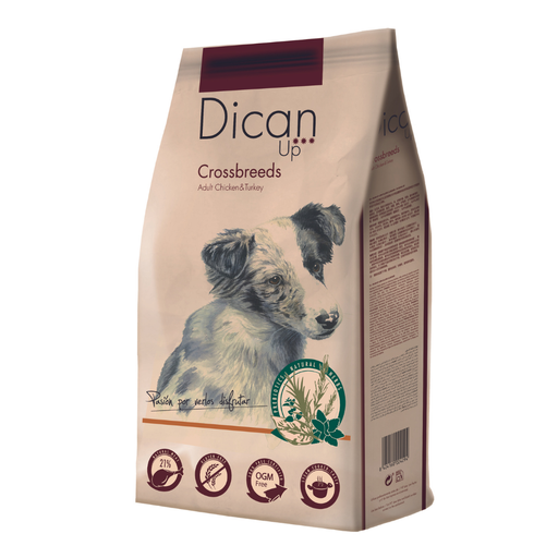 Dican Up Crossbreeds Adult Chicken & Turkey