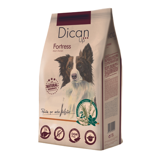 Dican Up Fortress High Energy