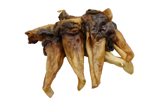 [PS0083] BB Dog Snacks 500g Horse Ears