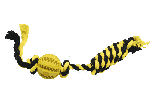 BB Dog Toy – Dental Ball on a String (Mint Scent, 22cm, Red/Yellow/Orange/Green Mint)