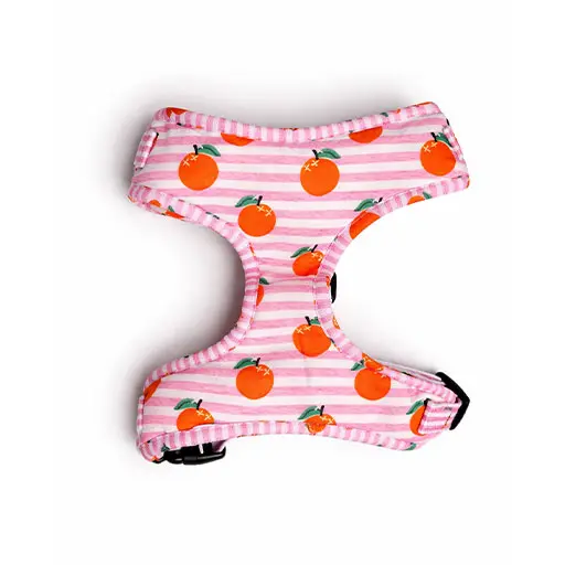 Dog Harness – Pink Citrus Comfort Adjustable