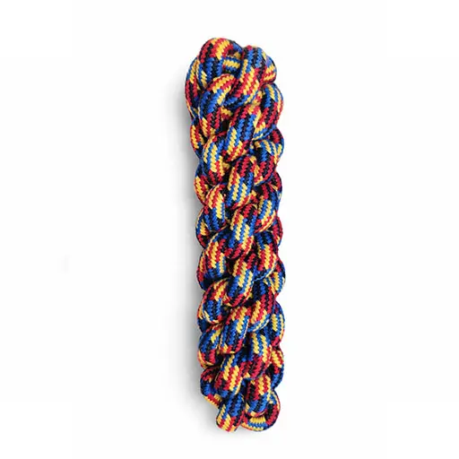 Rainbow Power Braid Dog Rope Toy