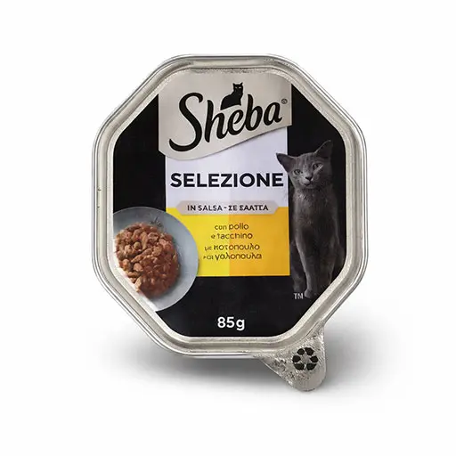 Wet Cat Food – Chicken & Turkey in Gravy (85g)