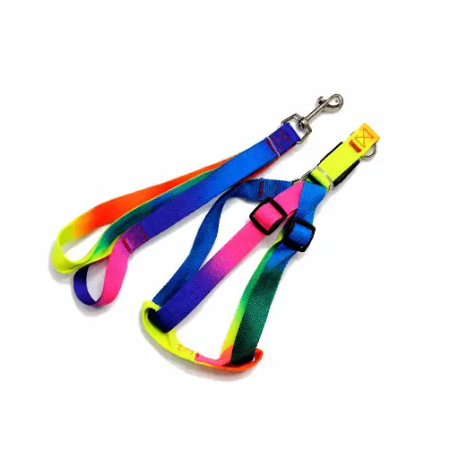 Rainbow Adjustable Dog Harness & Lead Set 