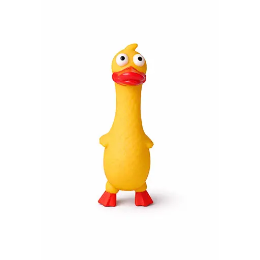 Funny Squeaky Cow & Duck Dog Toy (Durable Rubber Chew Toy)